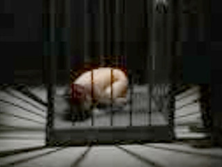 XXX Molestation in Public - A Horny Nippon Girl's Humiliating Experience